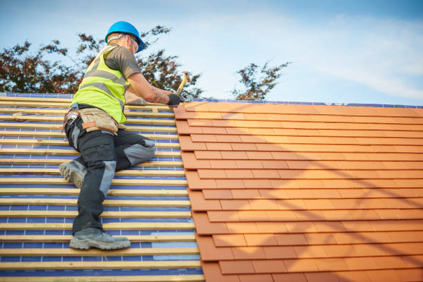 Best Sheet Metal Roofing  in Lus Valley Marinwood, CA